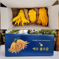 여수 불수감 생과 1kg - 심현수 농부, 1세트, 상품