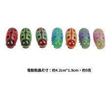 電動蟲蟲 貓咪玩具, 1只, 瓢蟲-1只,電動小玩具