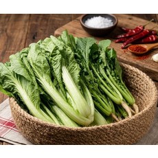 동명 여름별미 열무 얼갈이 김치용 세트, 열무2kg+얼갈이1kg