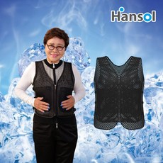 한솔 아이스 쿨조끼 보냉백3개+아이스팩6개 L XL