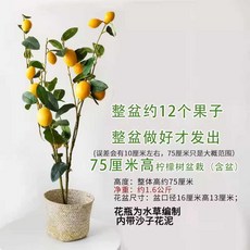 레몬나무 가지 조화분 트리 귤 장식용 인공, 1개, 12개 레몬 과수 분재 70-75cm 높이