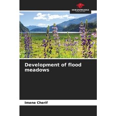 (영문도서)Development of flood meadows Paperback, Our Knowledge Publishing, English, 9786208366728