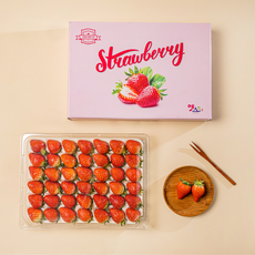 [당일산지직송] 프리미엄 고당도 특 사이즈 설향 딸기 1kg 500g, 1개, 설향 딸기 500g 대 (30입/팩)x1팩
