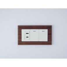 Panasonic國際牌Risna磁吸式黑胡桃木框開關插座面板蓋板【快速出貨】, 1個, 螢光2開1插（白