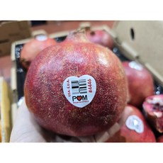 햇딴 미국산 석류 POM, 1개, 1kg