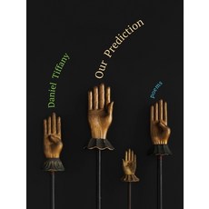 (영문도서)Our Prediction Paperback, Fordham University Press, English, 9781531513139