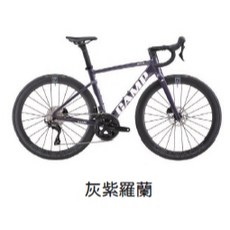 CAMP SR5 PRO 碟煞版鋁合金公路車 搭配Shimano 105 機械變速 內走線 碳纖維一體式車手把, 1個, 灰紫羅蘭,490mm