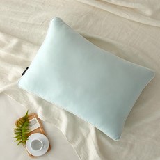 [모던하우스 인천점] 말랑필 폭신한 몽글베개 40x60 민트_FP1124021, 1개, 단품