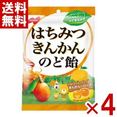 노벨은 최근에 철가 엿10g×4봉지 세트노벨은 최근에 철가 엿10g×4봉지 세트