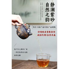 宜興 紫砂 茶壺 梅花報春 古銅泥 大容量, 梅花报春,480cc