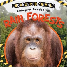 Endangered Animals in the Rain Forests, PowerKids Press
