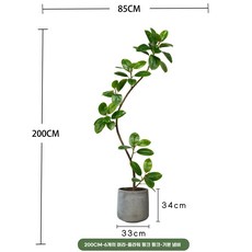 U자형 매장 간이탈의실 옷가게 커튼식 벽면 미니 피팅룸, X. 2.0m 무화과나무 B 화분