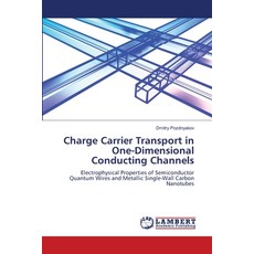 (英文圖書)Charge Carrier Transport in One-Dimensional Conducting Channels 平裝版, LAP Lambert Academic Publis..., 英文