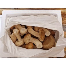 친환경 무농약 100%국내산 송향버섯 송화버섯, 1개, 3kg