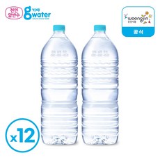 [공식] 웅진 가야워터 무라벨 생수, 12개, 2L