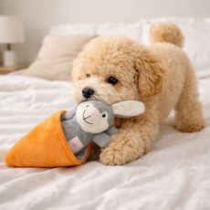 [푸들나무] 까꿍 프렌즈 노즈워크, 1개, 당근 래빗