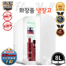 플렉스몰 화장품 냉장고 차량용 가정용 일반형 고급형 미니 소형 미러 LED 저소음 냉온장고, A8L