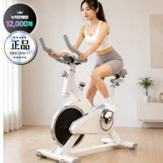 니엘스포츠 실내자전거 운동기구 사이클 홈트접이식 싸이클 미니 추천 헬스 가정용, White, CycleFit Basic