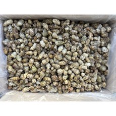 다인 국내산 냉동 오만둥이 벌크(10kg)업소용 대용량 오만디 미더덕, 1박스, 10kg