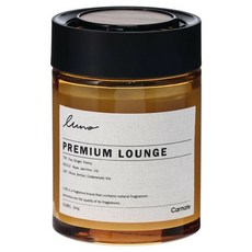 CARMATE LUNO 固體香氛劑 160g 車用居家消臭, 1個, G1883海邊柑橘香