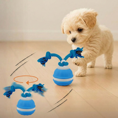 댕냥픽 터그볼 움직이는 장난감 강아지 터그 공, 블루, 1개