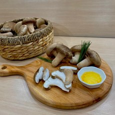[몬스터농부] 국내산 산지직송 무농약 친환경 송화 송고 송향버섯 선물형 가정형, 태백급_실속형, 1kg, 1개