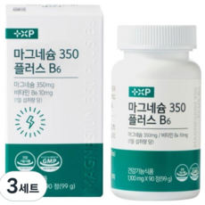 마그네슘 350 플러스B6 글루콘산마그네슘 약국정품, 3세트, 90회분