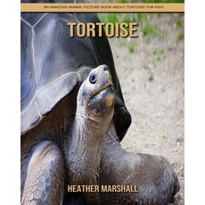 Tortoise: An Amazing Animal Picture Book about Tortoise for Kids Paperback, Independently Published