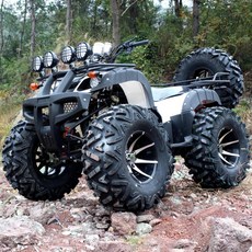 농업용 사륜바이크 네발 ATV 전동 다목적 오프로드 팜트럭 산악용 모빌리티, 수동 150cc 스탠다드