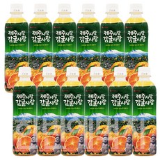 롯데칠성음료 제주감귤 500ml x 12펫, 12개