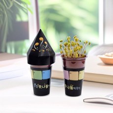 꼬깔 콩나물 키우기 가정용 새싹 재배기 집에서 시루 식물 발아 수경 관찰학습 모종컵