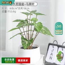 仿真繡球花盆栽盆景 桌面裝飾擺件, 仿陶PVC盆+馬蹄葉