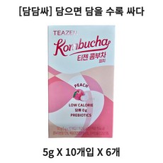 티젠 콤부차 피치, 5g, 10개입, 6개