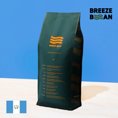 브리즈빈 과테말라 SHB 안티구아 커피원두, 1개, 1kg, 홀빈(분쇄안함)