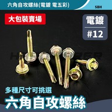 SBH 六角自攻螺絲 電鍍五彩 鐵工木工用, 1個