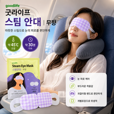 굿라이프 온열안대 스팀 아이마스크 눈찜질팩 무향, 5개, 20개입