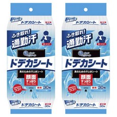 에리에르 도데카시트 남자를 위한 땀 닦는 시트 시트러스향 30개입, 2개