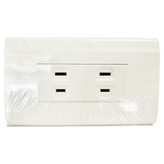 Panasonic 國際星光系列 WTDFP 1402 雙插座 無接地壁插, 1個