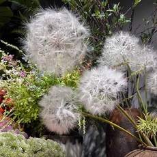 민들레 조화 홀씨 꽃다발 장식 인테리어, 03.줄기+흰색 대형, 1개