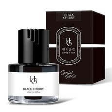 향기공감 프리미엄 카 디퓨저 120ml, 블랙체리, 1개