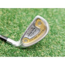 혼마 트윈마크 메모리얼 2000 프로1 3번단품 아이언 DTS1 R 2스타, 19도