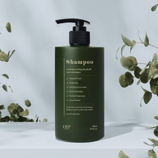 제이에이치피 녹초엽 지루성 두피 스케일링 비듬 쿨 샴푸, 500ml, 1개