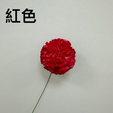 花藝夢 高品質索拉尖葉康乃馨 整把販售 擴香花 乾燥花 永生花 索拉花, 果綠,6公分