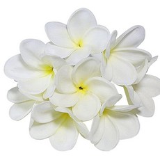 Winterworm 다발 10 PU 리얼 터치 살아있는 인공 플루메리아 프란지파니 꽃다발 웨딩 홈 파티 장식 (라이트 퍼플+화이트), 화이트