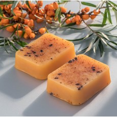 보타니쿠스 Botanicus 향기로운 유기농 천연 비누 바다갈매나무 105g, 105ml