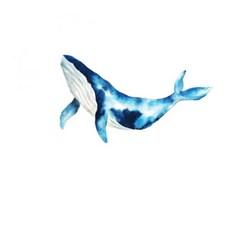 SD7 꿈꾸는 고래 수영모 SGL-CA352, WHT, 1개