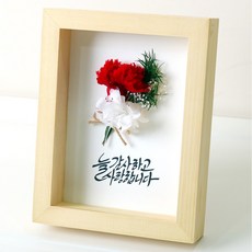 로맨틱노벰버 카네이션 드라이플라워 액자 - 프리저브드 캘리그라피 어버이날 스승의날 선물, 카네이션 레드