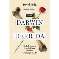 (영문도서)From Darwin to Derrida: Selfish Genes Social Selves and the Meanings of Life Paperback, MIT Press, English, 9780262057196