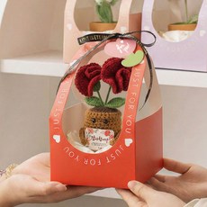 어버이날 스승의날 시들지 않는 손뜨개 카네이션 LED 무드등 화분 세트 (쇼핑백 포함) 감사선물, 레드, 1개 레드, 1개
