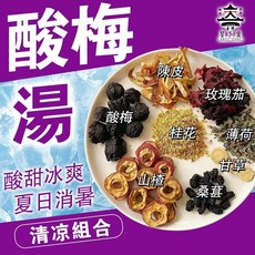 古法酸梅湯 烏梅汁 冷泡茶 酸梅湯包 消暑解渴 夏季冰飲 冷熱沖泡 台灣製, 1個, 一包